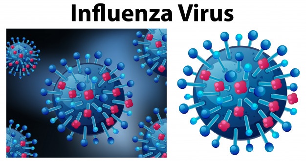 influenza-virus