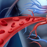 သွေးပျစ်ခြင်း အကြောင်း သိထားသင့်သမျှ